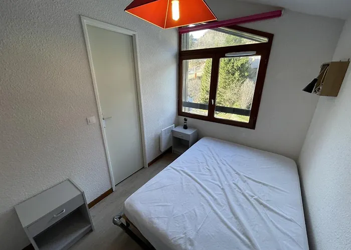 T2 Au Lioran, Balcon Sud-est, 4 Personnes - Fr-1-787-98 *